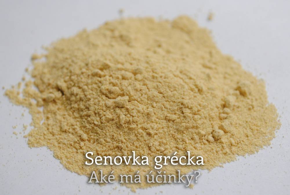Senovka grécka